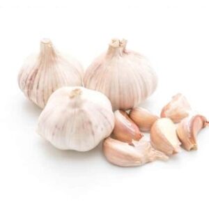 fresh garlic