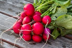 radish