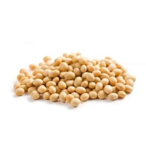 soyabean