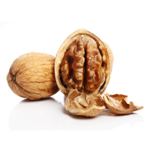 walnut