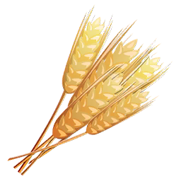 wheat PNG67